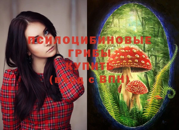 марихуана Волоколамск