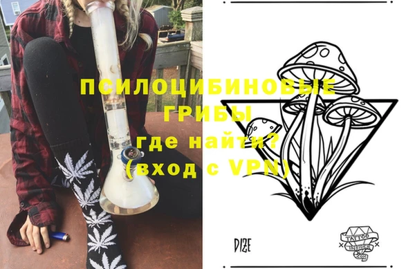 соль ск Волосово