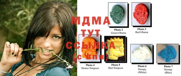 соль ск Волосово